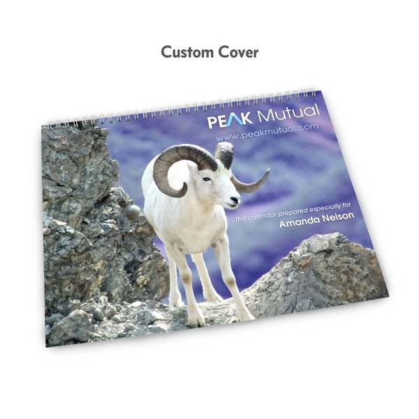 12 Month Hanging Wall Calendar with large photo area (8.5" x... from ASI 39850 The Bentcil Company / Bentcils™