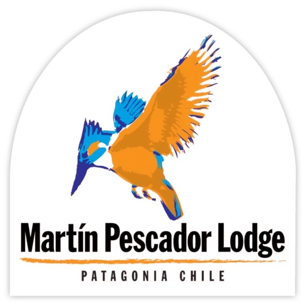 Customizable 3" x 3" arch shaped 4-mil thick vinyl adhesive labels... from ASI 59080 Halls & Company