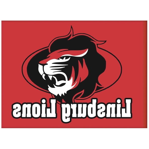 6' x 8' Knit Poly Single Reverse School Spirit Flag... from ASI 80228 Quinn