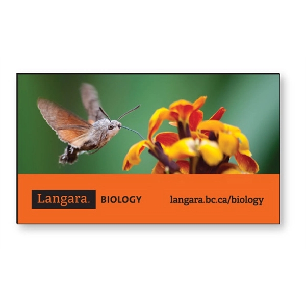 Magnetic business card white vinyl topcoat. Full color imprint.... from ASI 87400 ArtechPro