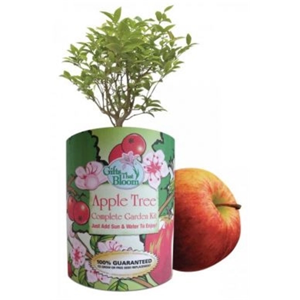 Apple Tree Garden in Eco-Friendly Garden Grocan... from ASI 58295 Groline