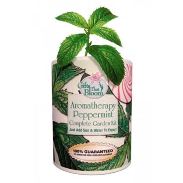 Aromatherapy Peppermint  Garden in Eco-Friendly Garden... from ASI 58295 Groline