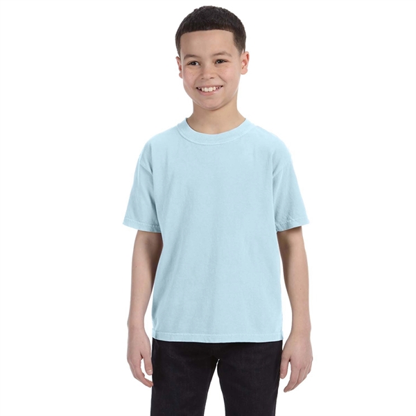 COMFORT COLORS YOUTH 5.4 OZ. T-SHIRT... from ASI 30208 A P Specialties / AP Specialties