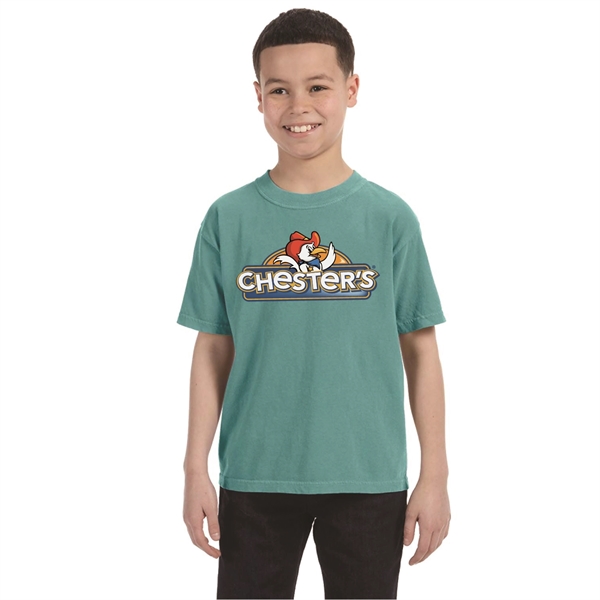 COMFORT COLORS YOUTH 5.4 OZ. T-SHIRT... from ASI 30208 A P Specialties / AP Specialties