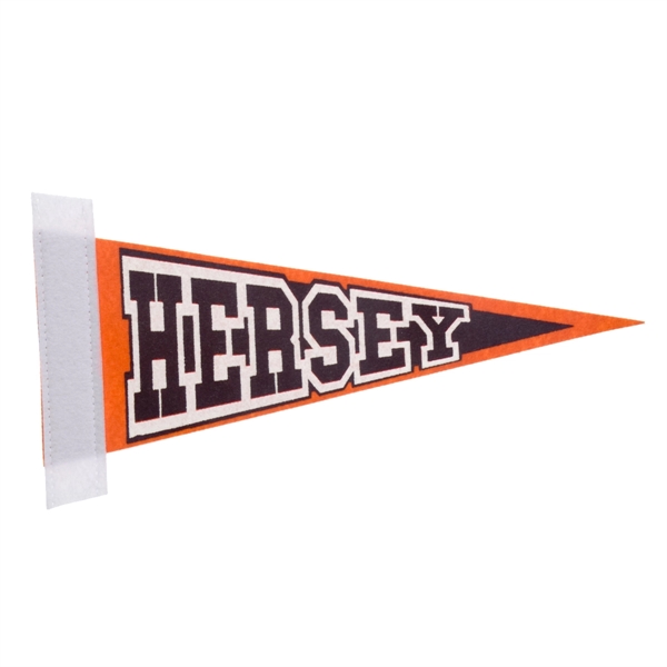 5" x 12" Felt pennant with edge strip.... from ASI 77280 Pepco Poms / Pepco Poms