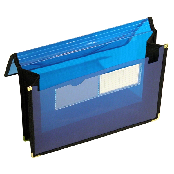15 1/4" x 10" x 4" legal size, translucent pouch file... from ASI 52541 Epoly Corp