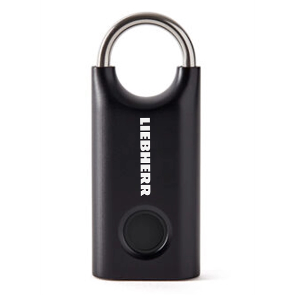 Custom Work... from ASI 85620 H M Schmidt Co Inc