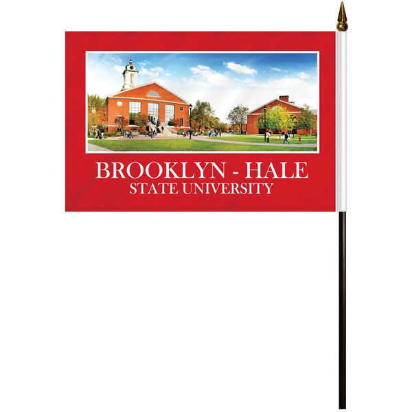 6" x 9" double sided polyester stick flag on an 11.8"... from ASI 80228 Quinn
