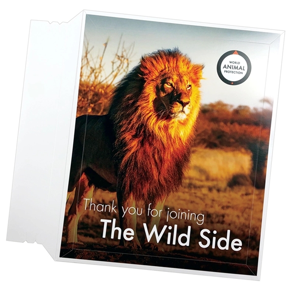 Conformer® Portfolio Mailer with 1" capacity... from ASI 32050 Admore / Admore®