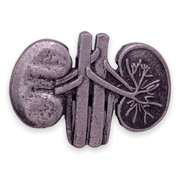 Human Kidney Lapel Pin. Blank.... from ASI 96235 Wehr Industries Inc