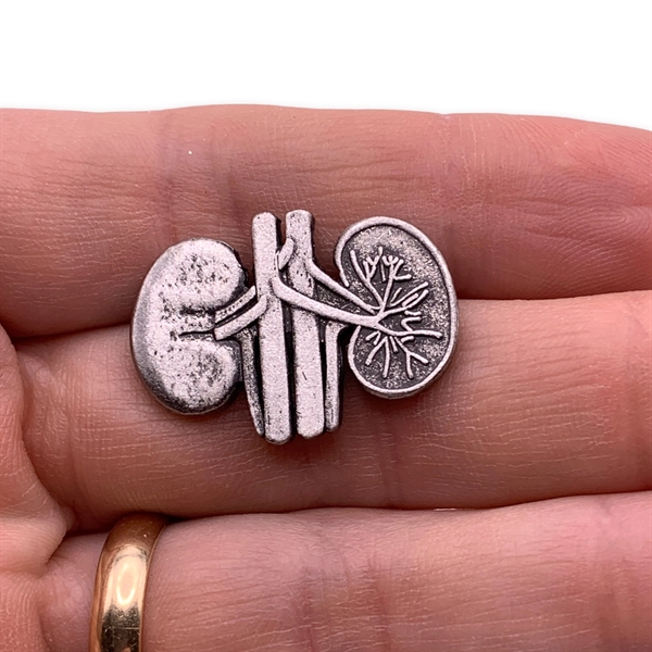 Human Kidney Lapel Pin. Blank.... from ASI 96235 Wehr Industries Inc