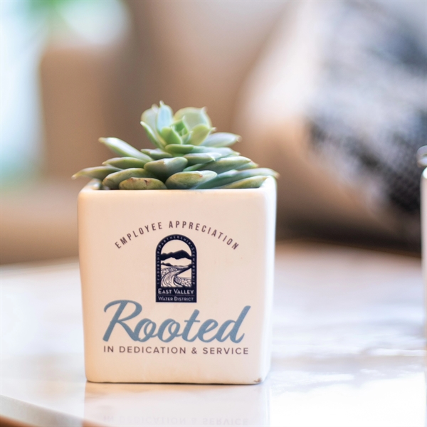 Appreciation Gift kit - Live Succulent plant with Ceramic Pot... from ASI 72657 Active Life Promo / Ingrain