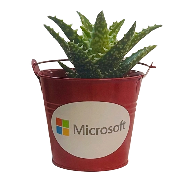 Succulent in Red Tin Pot... from ASI 58295 Groline