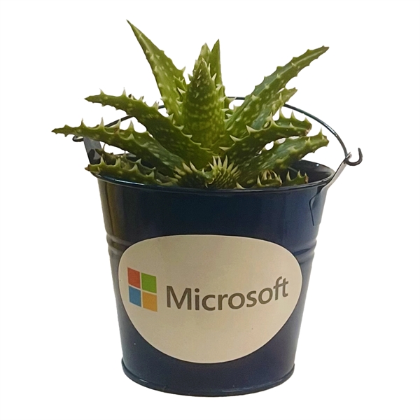 Succulent in Blue Tin Pot... from ASI 58295 Groline