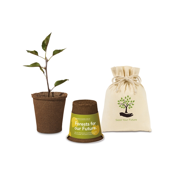 Modern Sprout One for One Tree Kit with biodegradable planter, seeds... from ASI 56070 Gemline / Gemline®