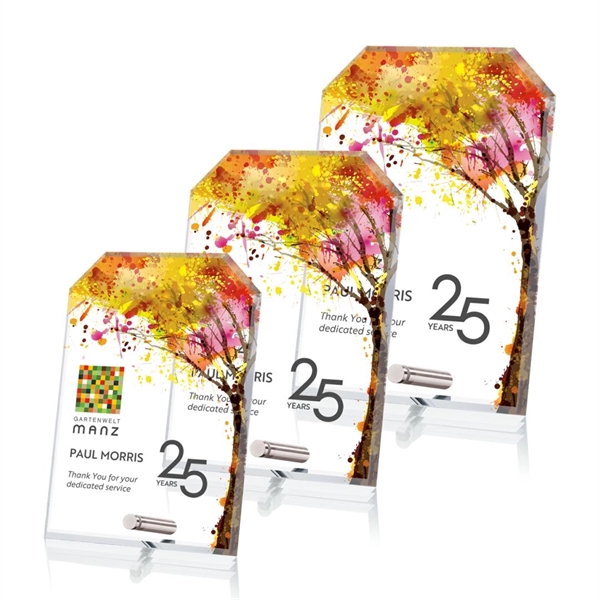 Clipped award with chrome pin.... from ASI 84592 St Regis Group / St Regis