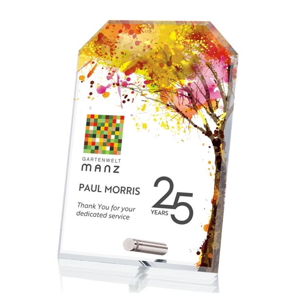 Clipped award with chrome pin.... from ASI 84592 St Regis Group / St Regis