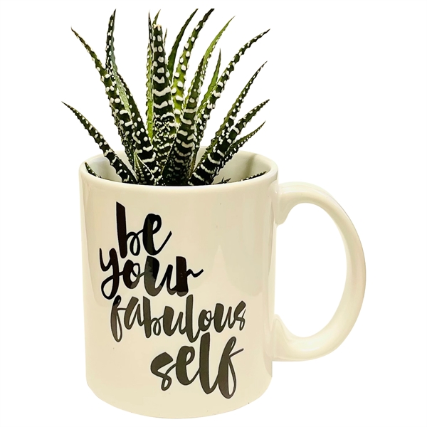 Succulent in Be Your Fabulous Self Mug... from ASI 58295 Groline