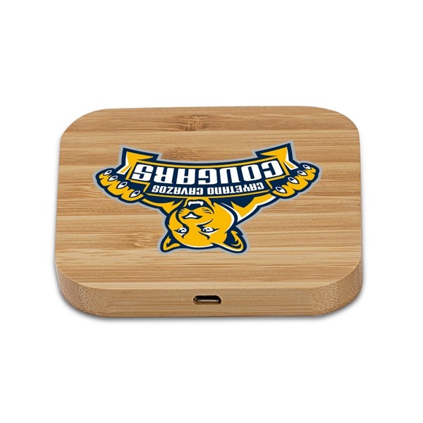 15W Henon Bamboo Eco-Friendly Wireless Charger with 2 USB ports as... from ASI 90154 Sunjoy Group Inc