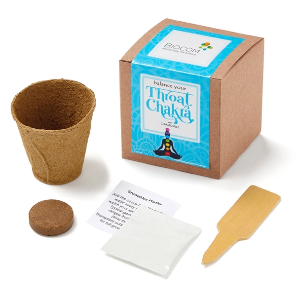 Throat Chakra Growables Gifts Set with planter, soil, seed pod, gardening... from ASI 63549 Jornik Manufacturing Corp