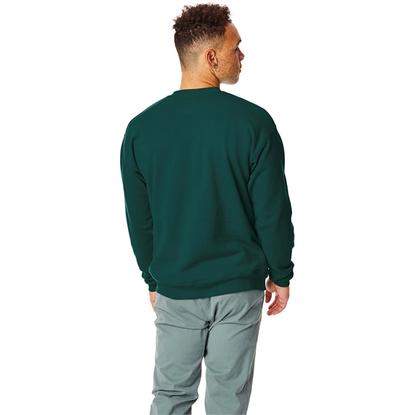 Hanes adult EcoSmart® fleece crewneck sweatshirt.... from ASI 34063 alphabroder