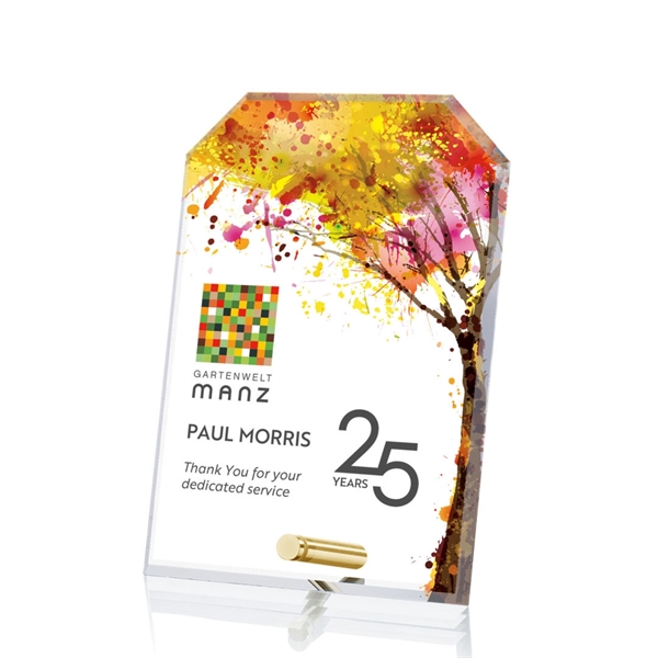 Clipped award with chrome pin.... from ASI 84592 St Regis Group / St Regis