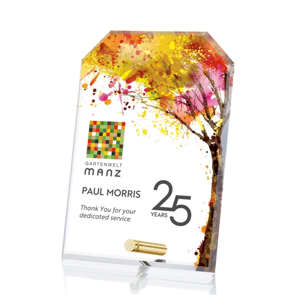 Clipped award with chrome pin.... from ASI 84592 St Regis Group / St Regis