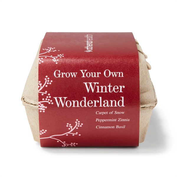 Egg carton garden kit includes seeds, soil and three wooden plant... from ASI 63549 Jornik Manufacturing Corp / Jornik