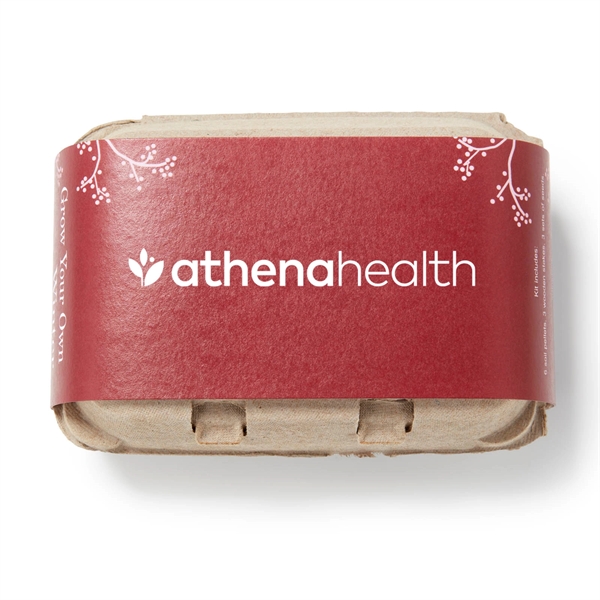 Egg carton garden kit includes seeds, soil and three wooden plant... from ASI 63549 Jornik Manufacturing Corp / Jornik