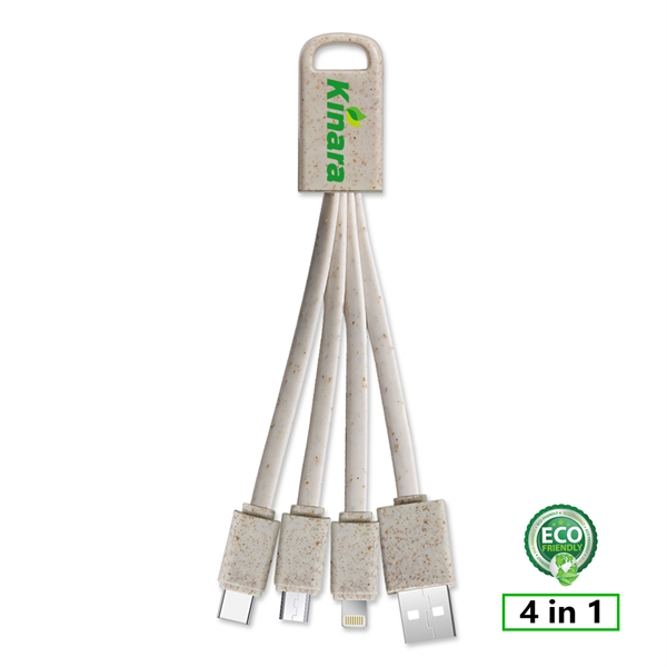 Total 4 cables, one for USB tip, one for Type C... from ASI 90154 Sunjoy Group Inc
