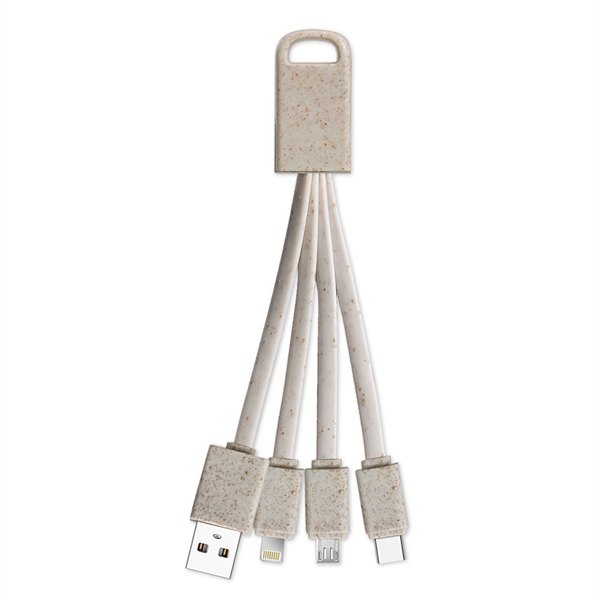 Total 4 cables, one for USB tip, one for Type C... from ASI 90154 Sunjoy Group Inc