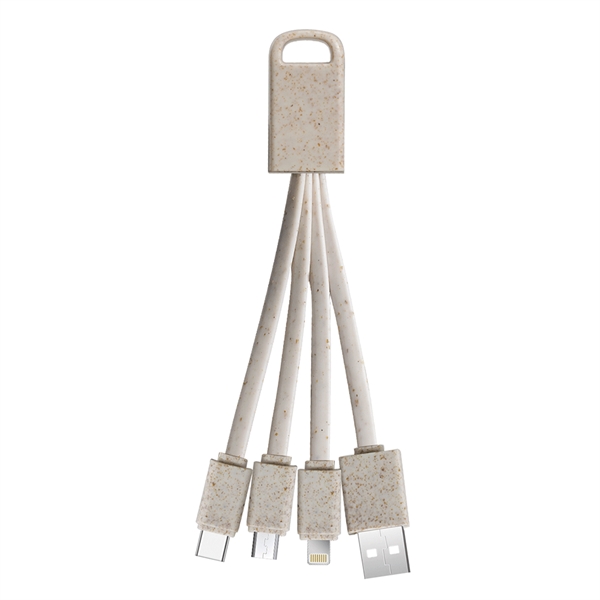 Total 4 cables, one for USB tip, one for Type C... from ASI 90154 Sunjoy Group Inc
