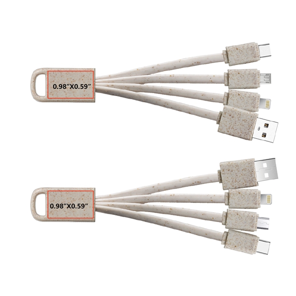 Total 4 cables, one for USB tip, one for Type C... from ASI 90154 Sunjoy Group Inc