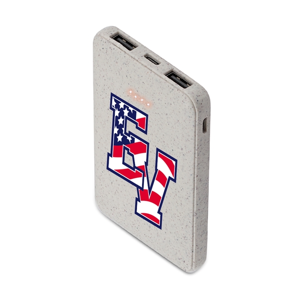 4 LED battery indicators, and with 1 type C output/input, 1... from ASI 90154 Sunjoy Group Inc