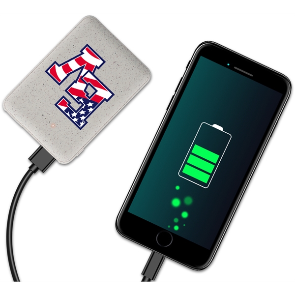 4 LED battery indicators, and with 1 type C output/input, 1... from ASI 90154 Sunjoy Group Inc