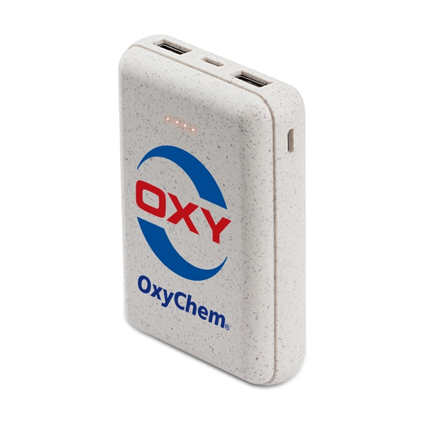 4 LED battery indicators and w/ 1 typeC output/input, 1 Micro... from ASI 90154 Sunjoy Group Inc