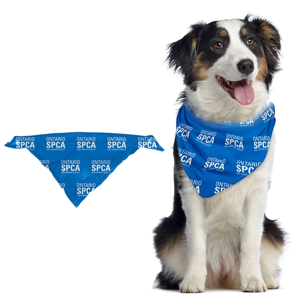 Customizable pet bandanna; offered in an assortment of sizes.... from ASI 90807 Tekweld