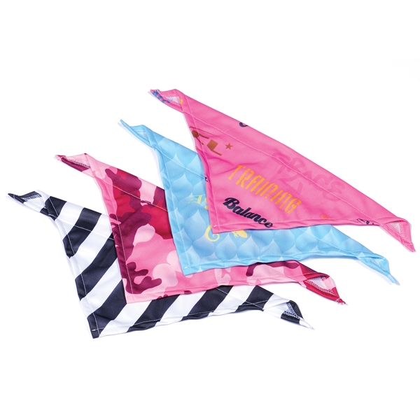 Customizable pet bandanna; offered in an assortment of sizes.... from ASI 90807 Tekweld