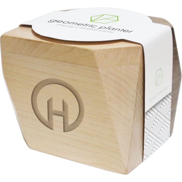 Geometric Wooden Planter... from ASI 54100 Fields Manufacturing Inc / Sprout Tyme Line by American Greenwood
