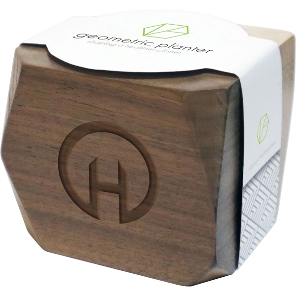 Geometric Wooden Planter... from ASI 54100 Fields Manufacturing Inc / Sprout Tyme Line by American Greenwood