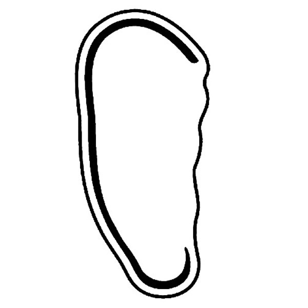 Magnets - Stock Shape Collection - Full Color... from ASI 80210 Quikey Mfg Co Inc / Quikey Line