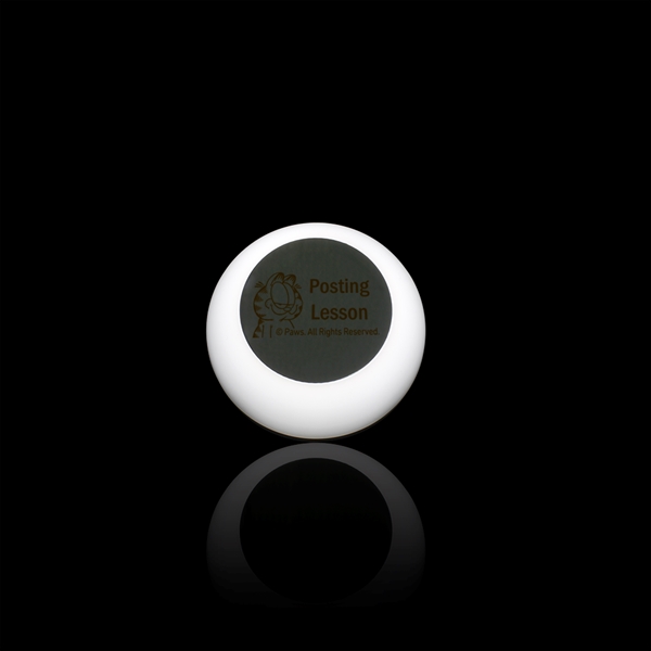 This device is ETL Certified, involves a dual USB port and... from ASI 90154 Sunjoy Group Inc