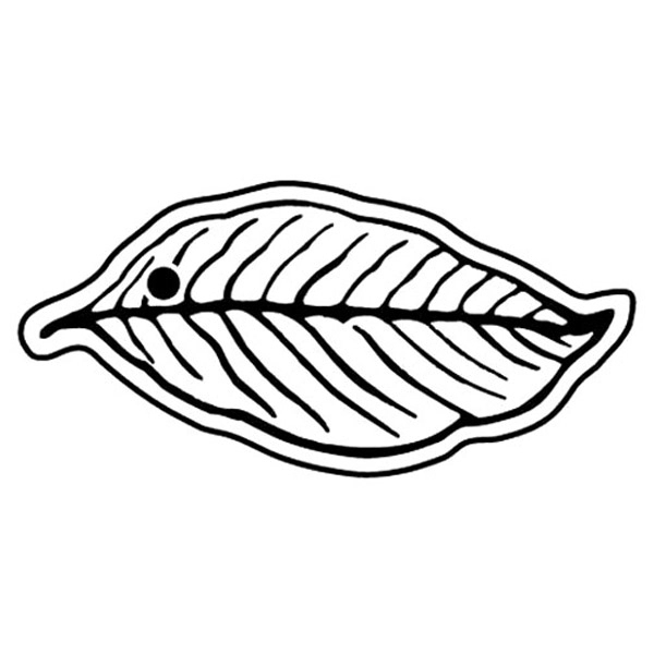 Key Tags - Soft Vinyl - Spot Color Screen Print -... from ASI 80210 Quikey Mfg Co Inc / Quikey Line