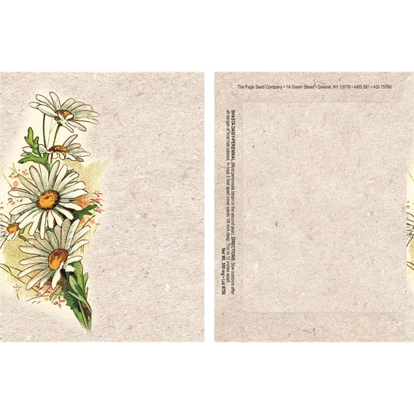 Watercolor Series Shasta Daisy seeds in a packet.... from ASI 75760 The Page Seed Co / Page Seed