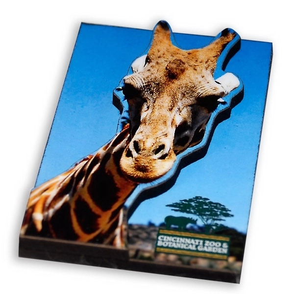 Dual layer magnet on 1/8" thick wood material.... from ASI 72521 Morris Magnets / Laser Cuts