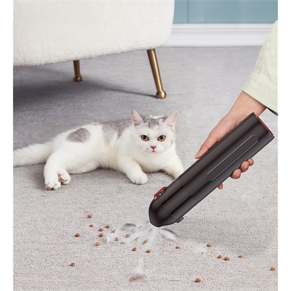 The Cecil Portable Vacuum Cleaner uses a strong motor with low... from ASI 90154 Sunjoy Group Inc