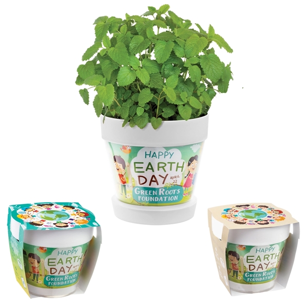 Snap-in blossom kit with plastic flower pot, one seed packet and... from ASI 62190 Illini