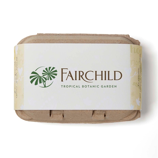 Yellow Grow Your Own Garden of Hope Seed Kit with planter,... from ASI 63549 Jornik Manufacturing Corp