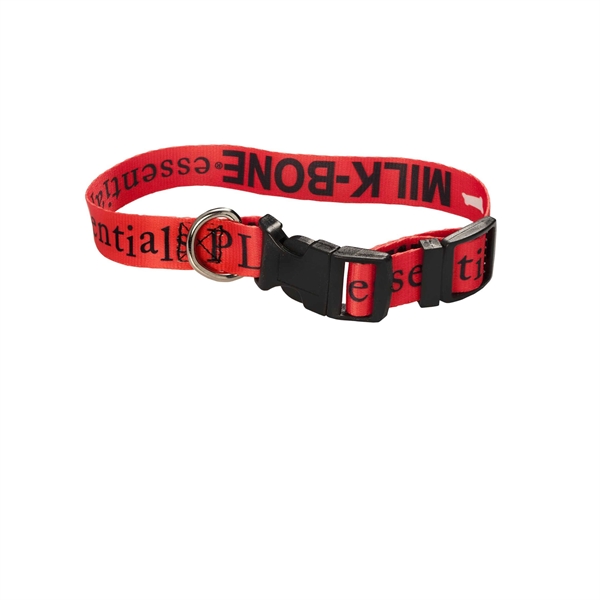 Pet collar with a buckle, D-ring, tri-glide and loop, box and... from ASI 61125 Hit Promotional Products / Hit®