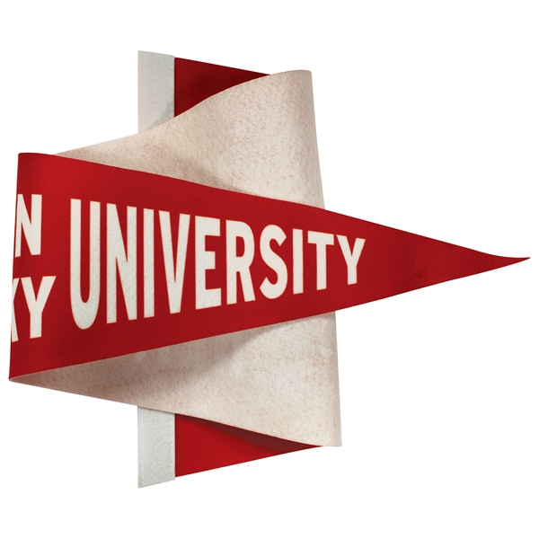 8" x 18" digitally printed custom soft felt pennant.... from ASI 80228 Quinn